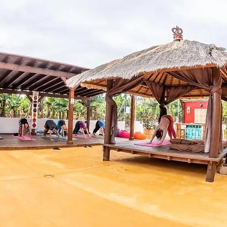 Holiday home Casa Drago - Perenquen. Alcala (Tenerife)